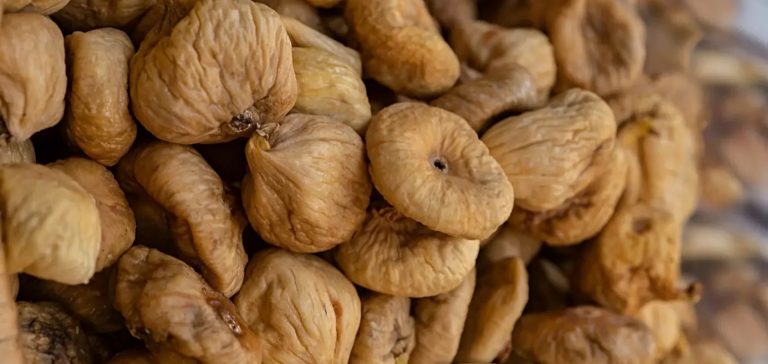 أصل حكاية الدبابير وشجرة التين