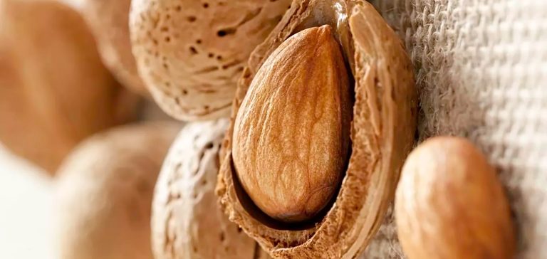 الفوائد الصحية والعلاجية للوز