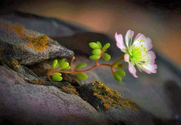 لماذا نشعر أننا لا نحلم ... هل من تفسير مقنع؟