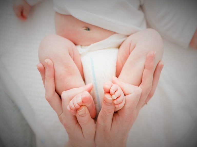 تعرفي على خلايا النحل في طفلك!