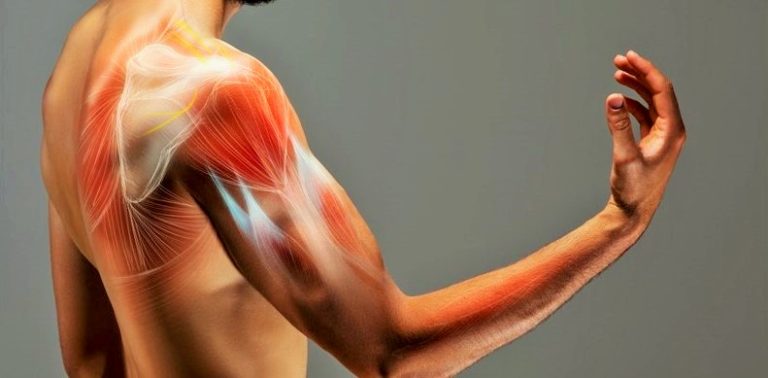 كيف نقيس مجال نطاق حركة الكتف الطبيعية؟
