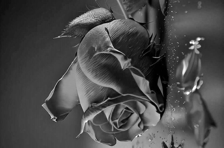 نصائح وإرشادات تجنبكِ آفة جفاف البشرة وخسارتها