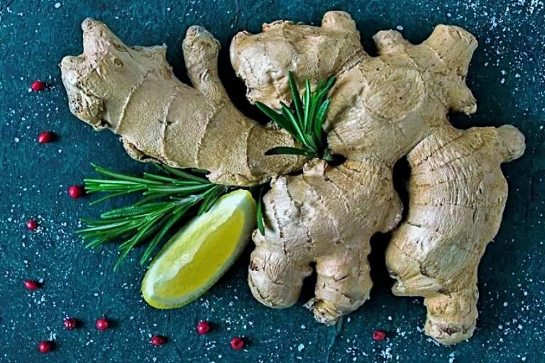 قصص الزنجبيل ... دواء ومتعة وشفاء