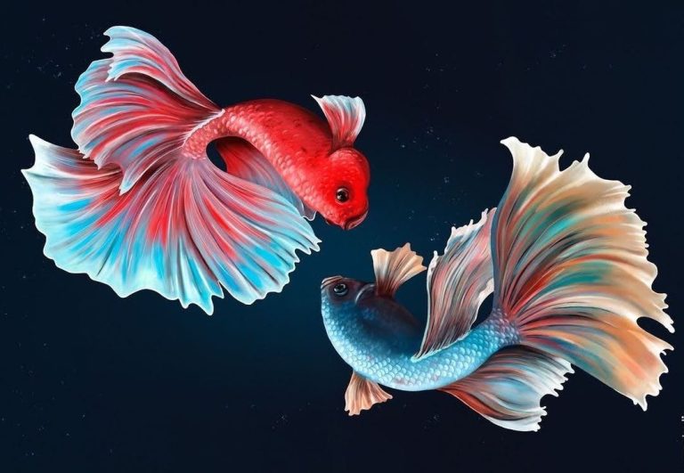 من هو برج الحوت؟