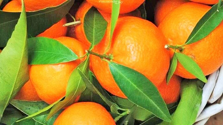 أهم الفواكه الغنية بفيتامين C