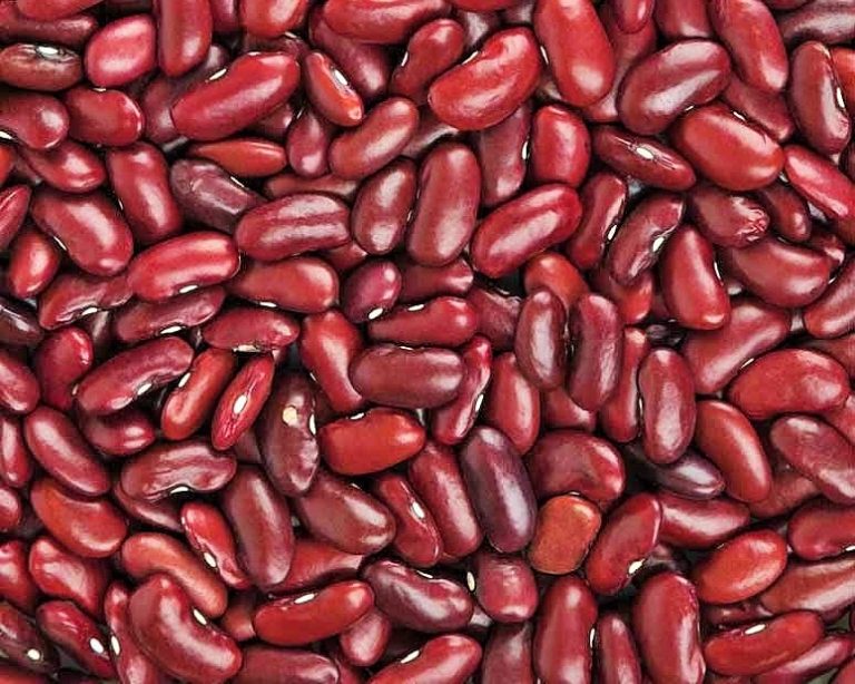 أهم فوائد الفاصوليا الحمراء التي لم تعرفينها مسبقًا!