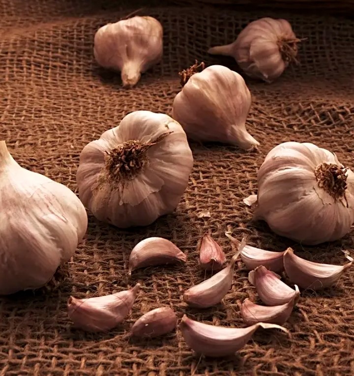 فوائد الثوم وفضائله الصحية