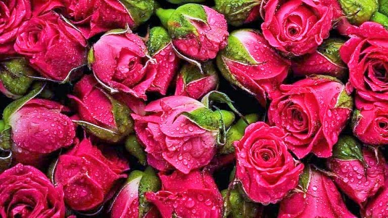 لبشرة صافية صحية ونضرة إليك هذه النصائح!