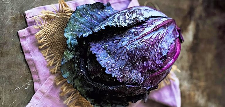 للملفوف الأحمر فوائد صحية فاقت كل التوقعات