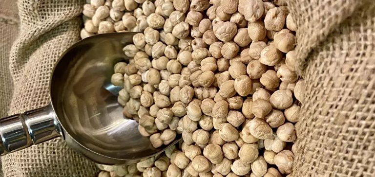 ماهي أهم مصادر عنصر المغنيسيوم؟