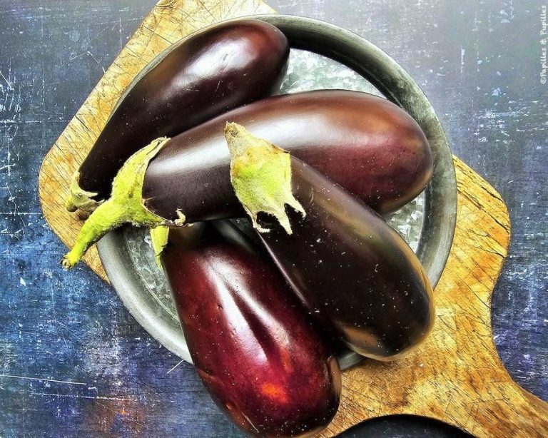 كيفية تحضير الباذنجان وأهم استخداماته في المختلف المطابخ العالمية؟