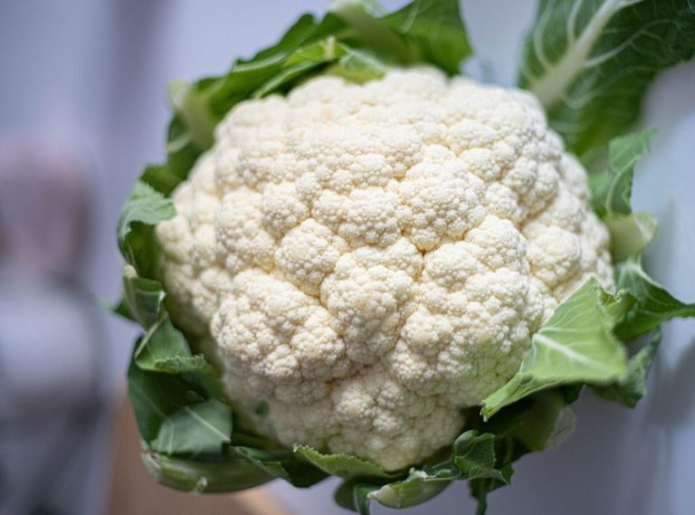 طرق جديدة لطهو القرنبيط