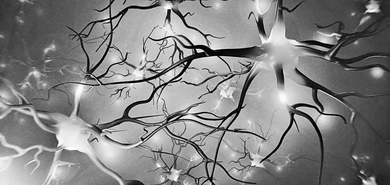 الإسعافات الأولية للسكة الدماغية أثناء انتظار المساعدة