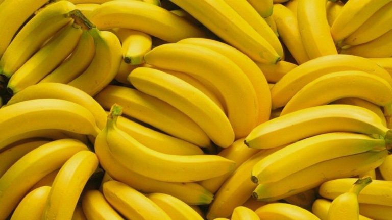 التاريخ الموز وحكاياته