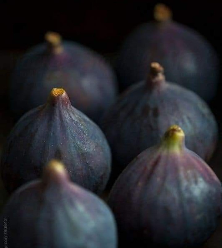 التين البنفسجي اللذيذ