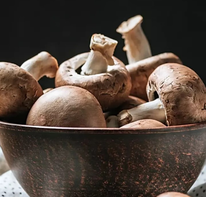 الفطر للتخلص من سموم الشتاء