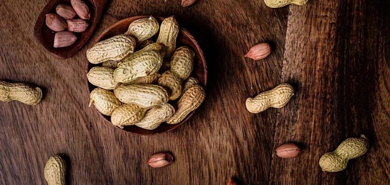 الفول السوداني … التاريخ والحكايات الفول السوداني ... التاريخ والحكايات