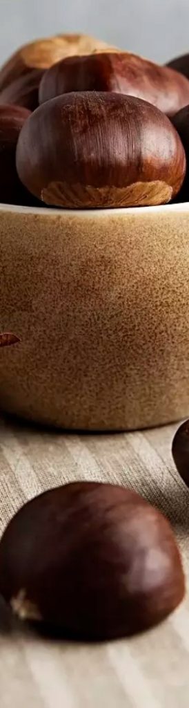 القيم الغذائية والسعرات الحرارية للكستناء