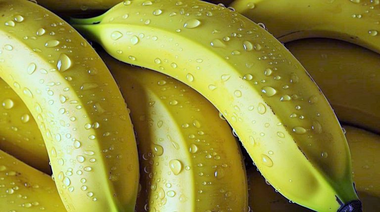 فوائد الموز الصحية ومساهماته غذائية