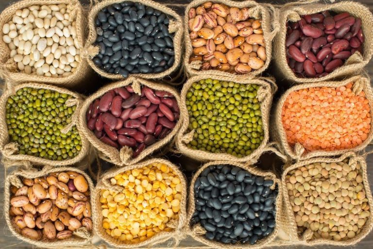 أطعمة غنية بالبروتين ... ما هي؟