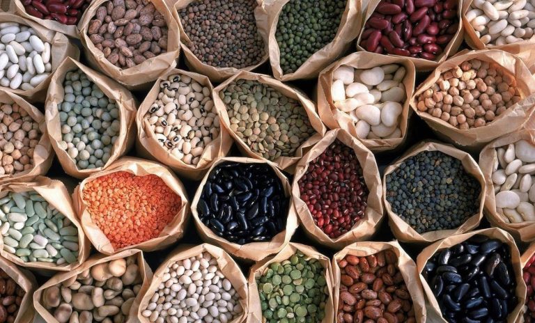 أطعمة مفيدة للعناية بالكلى ... ما هي؟