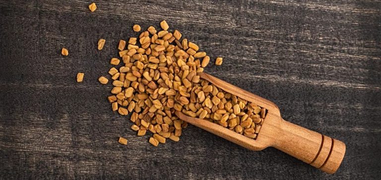 الحلبة ... علاج طبيعي ومنشط جنسي بامتياز!