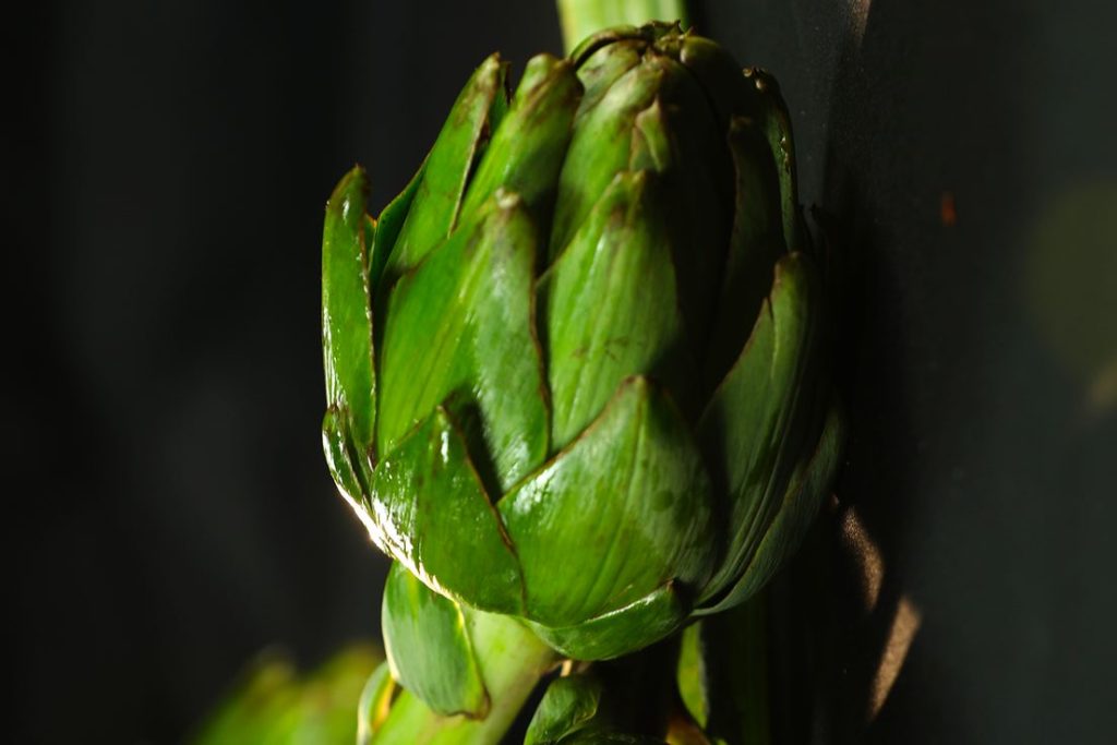 الخرشوف من علاجات الجدات الطبيعية المضادة للإرهاق