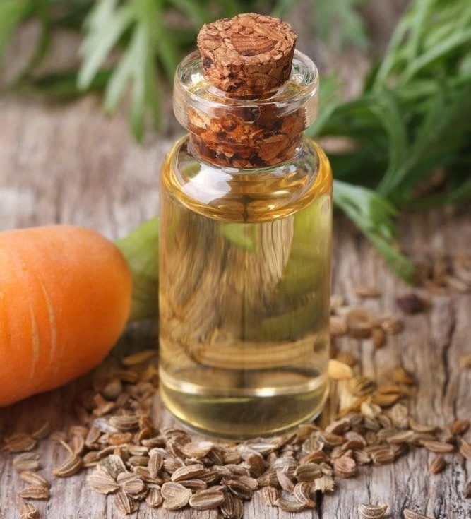 زيت الجزر من أفضل الزيوت العطرية المضادة للسموم