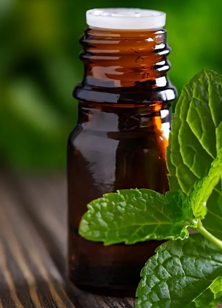 زيت النعناع من أفضل الزيوت العطرية المضادة للسموم