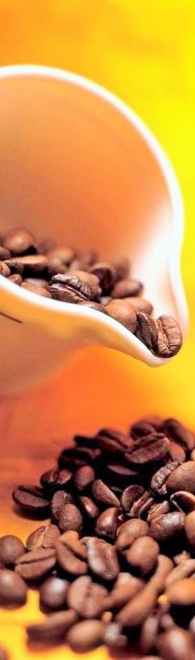 حمية قهوة الزبدة التي غزت العالم من الولايات المتحدة الامريكية ... القصة كلها!