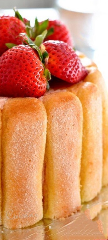 شارلوت الفراولة بكريمة التيراميسو