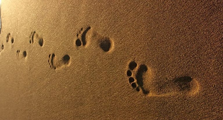 كيفية الانتقال من المشي إلى الجري بسلاسة ... الخطوات والنصائح