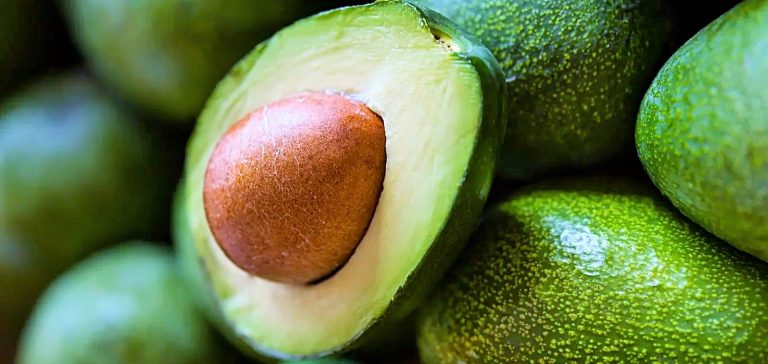 الأفوكادو يُسبب زيادة الوزن … صحيح أم خطأ؟ الأفوكادو يُسبب زيادة الوزن ... صحيح أم خطأ؟