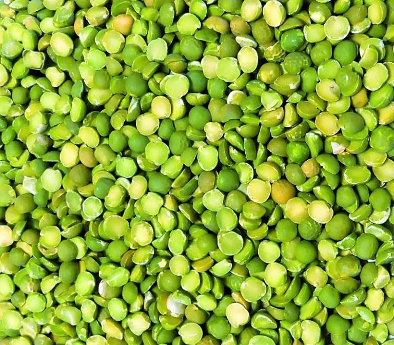 البازلاء الجافة تزيد الوزن … صحيح أم خطأ؟ البازلاء الجافة تزيد الوزن ... صحيح أم خطأ؟