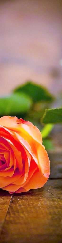 آثار الغبار على الرئتين