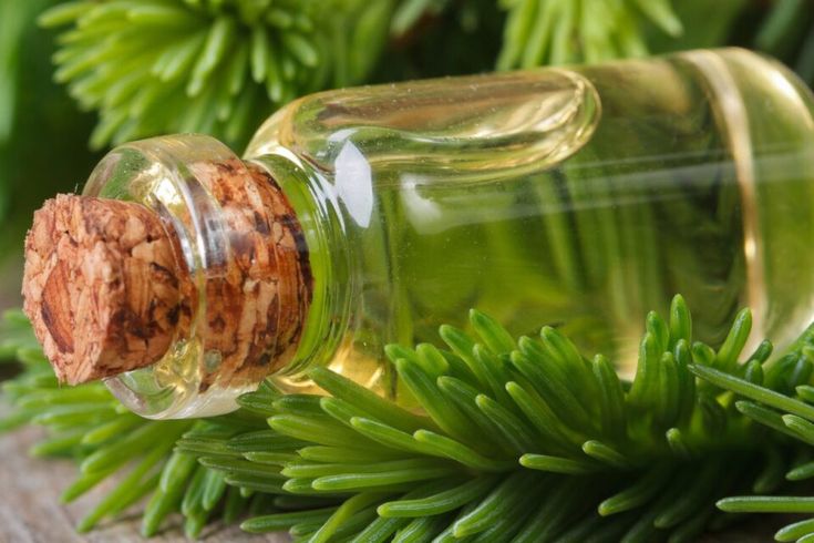 استخدامات زيت التنوب البلسمي العطري … كل شيء استخدامات زيت التنوب البلسمي العطري ... كل شيء