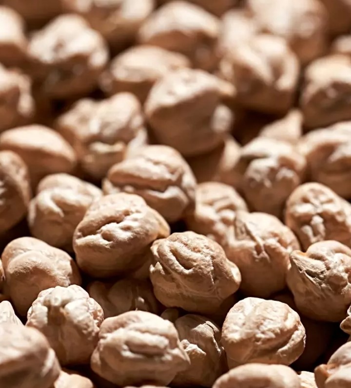 الحمص يُسبب زيادة الوزن؟ … صح أم خطأ؟ الحمص يُسبب زيادة الوزن؟ ... صح أم خطأ؟