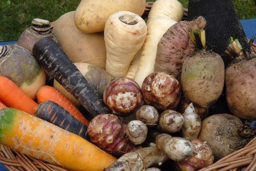 الخضر الجذرية المنسية