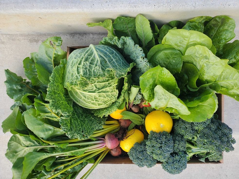 الخضر الخضراء التراثية المنسية