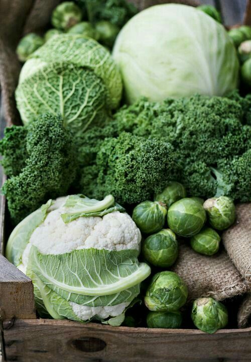 الخضر الخضراء المنسية