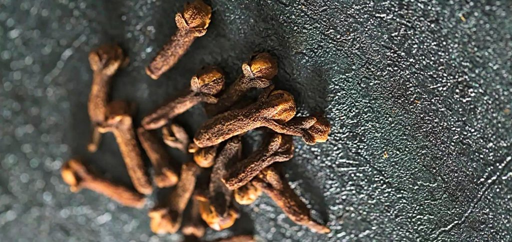 القرنفل للتخفيف من آلام الأسنان والتهابات اللثة