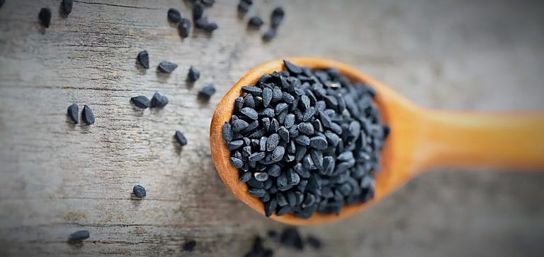 حبة البركة السوداء … الأصل والتاريخ حبة البركة السوداء ... الأصل والتاريخ