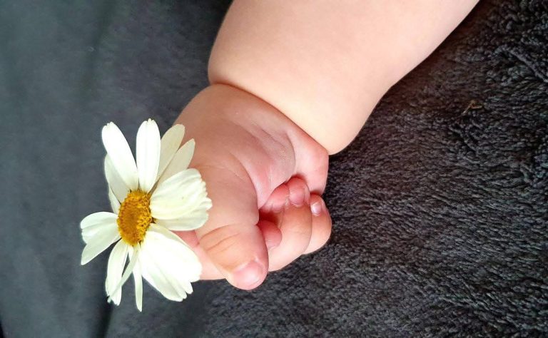 حساسية حبوب اللقاح لدى الأطفال ... التشخيص والعلاجات