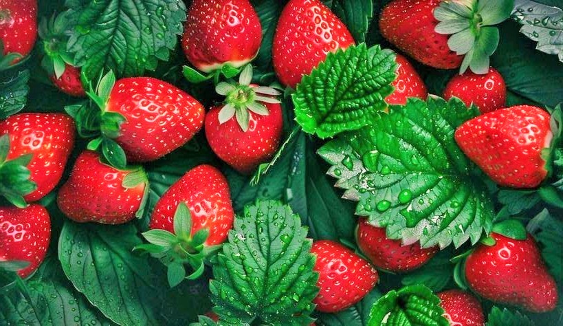 فوائد تناول الفراولة قبل النوم