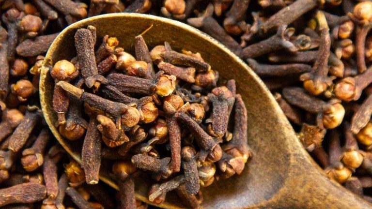 استخدامات زيت القرنفل العطري ... الدواعي والنصائح