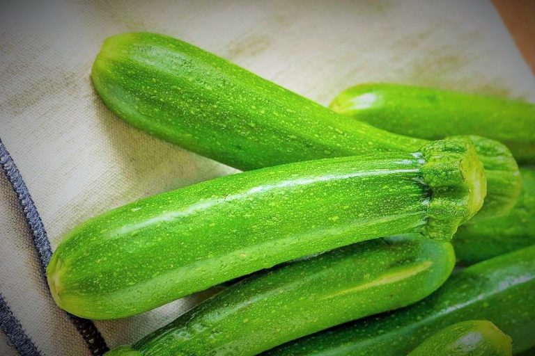 الكوسا ... الاستعمالات والوصفات