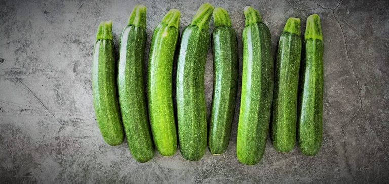 الكوسا ... الفوائد والفضائل