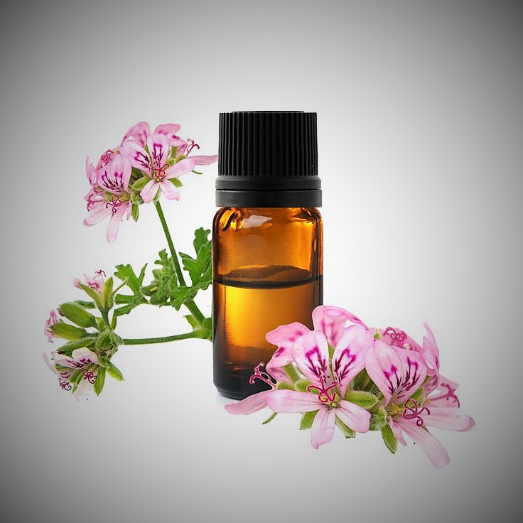 زيت إبرة الراعي العطري … الخصائص العلاجية زيت إبرة الراعي العطري ... الخصائص العلاجية
