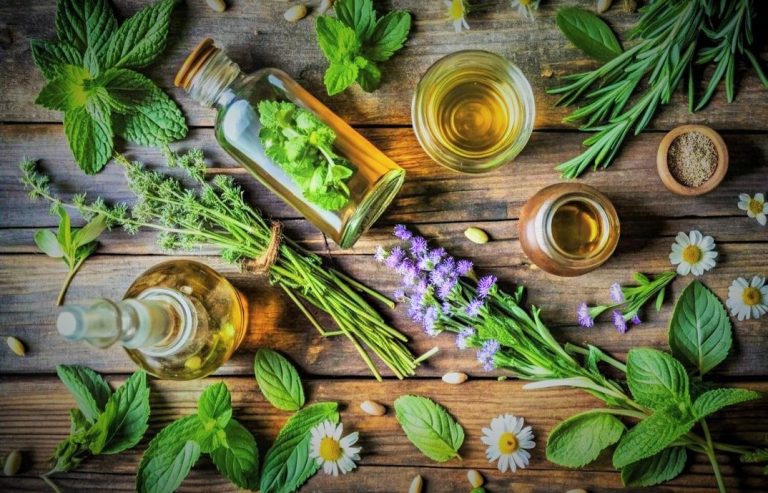 أقوى الزيوت العطرية المضادة للحشرات والبعوض