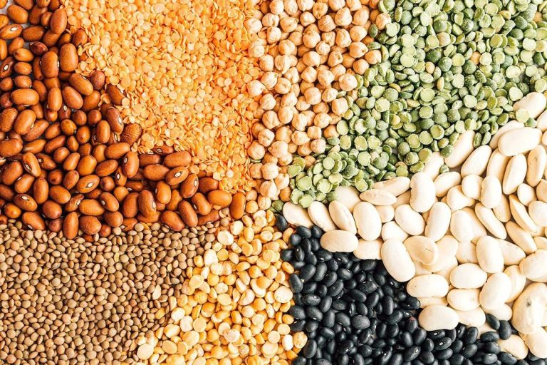 بعض أنواع البقوليات ... الفوائد والمحاسن والاستخدامات